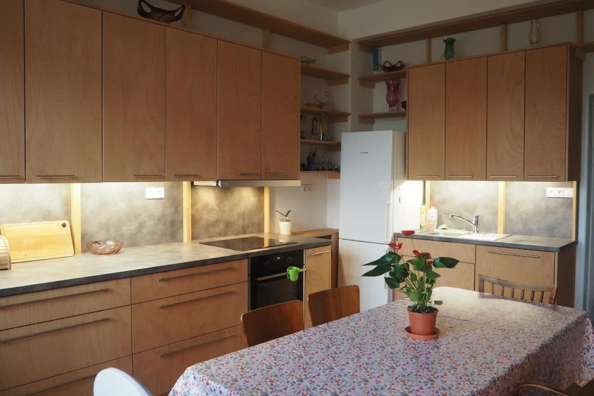 Rodinny Apartman V Centru Prahy Прага Екстер'єр фото